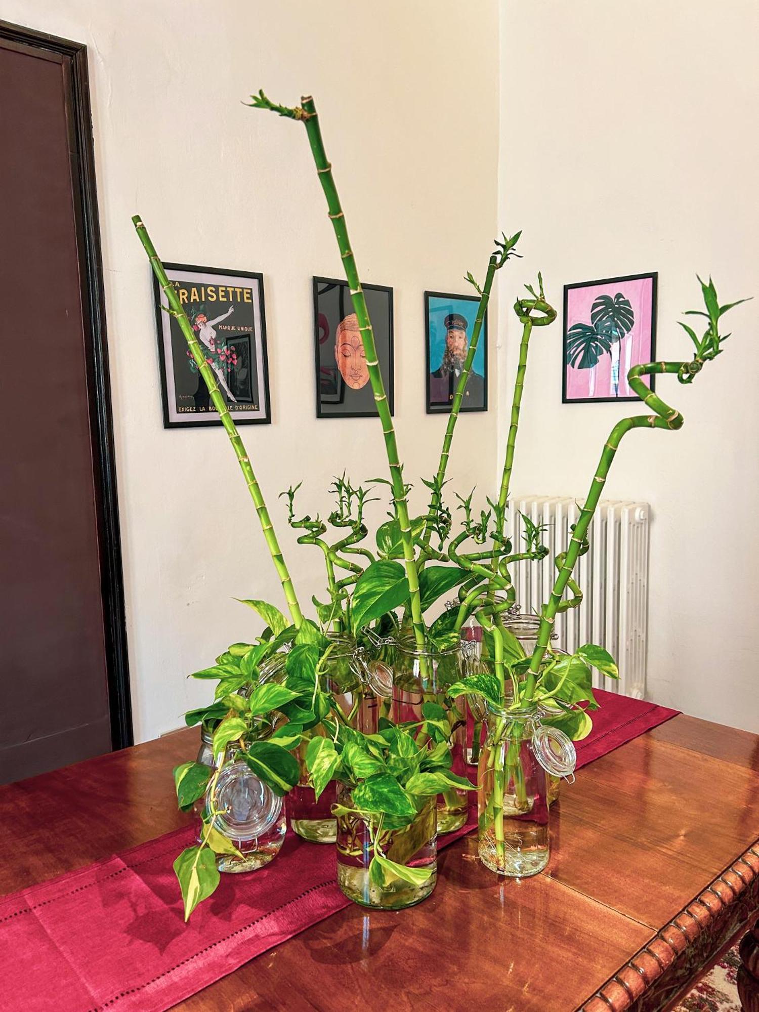 Residenza Studio Delle Arti — Foto 3